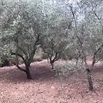 בית נופש Casa Dei Templari