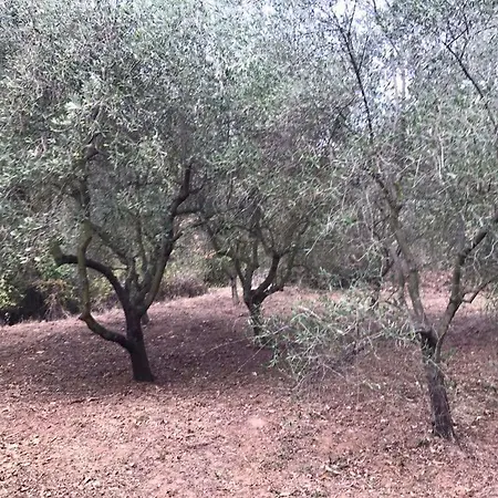 Hébergement de vacances Casa Dei Templari