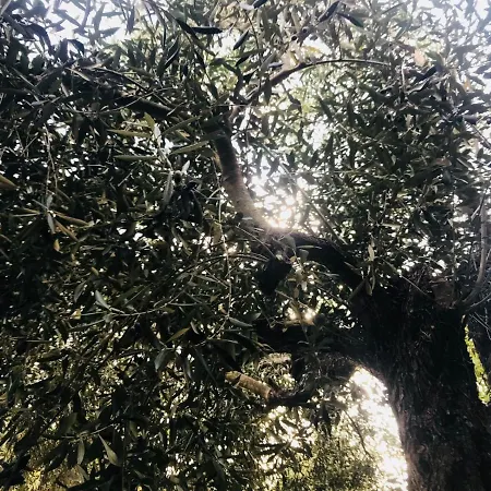 Hébergement de vacances Casa Dei Templari Finale Ligure