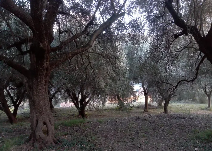 بيت للعطل Casa Dei Templari