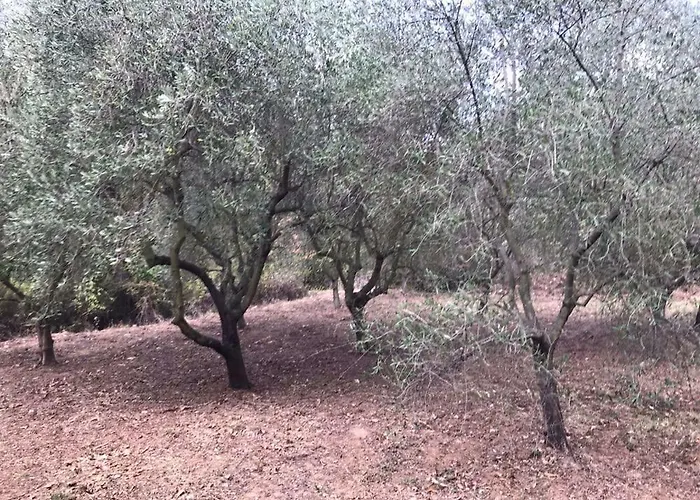 بيت للعطل Casa Dei Templari