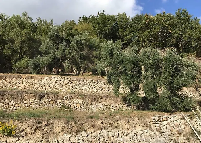 Casa Dei Templari بيت للعطل