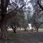 Сasa de vacaciones Casa Dei Templari