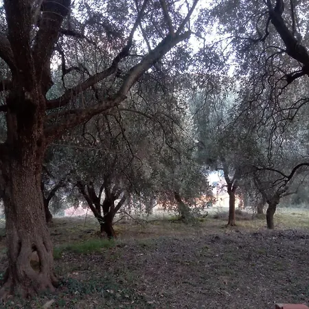 Nyaraló Casa Dei Templari