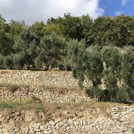 Casa Dei Templari Σπίτι διακοπών
