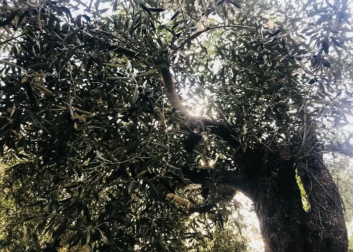 Holiday home Casa Dei Templari Finale Ligure